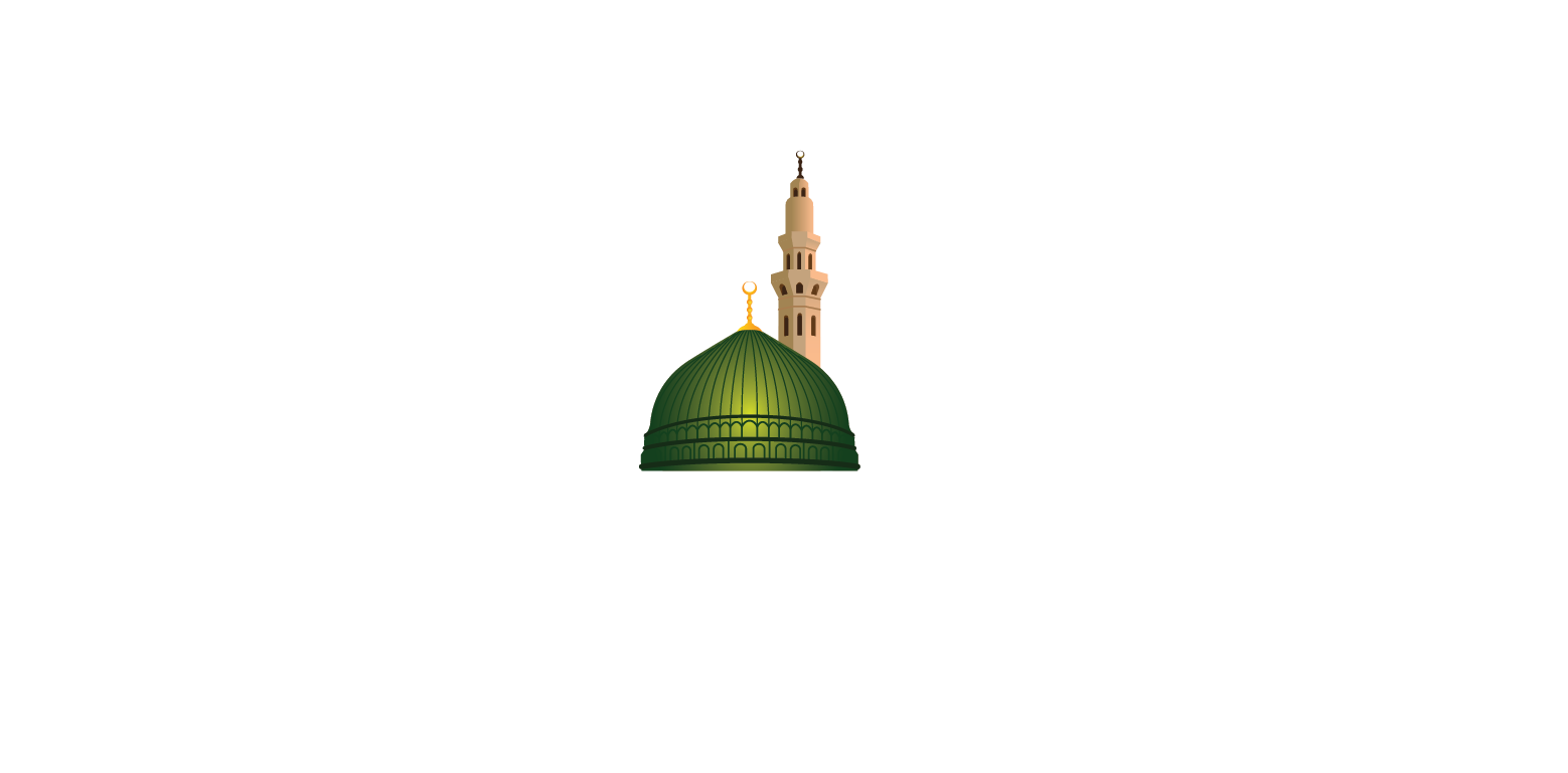 Madina Institute